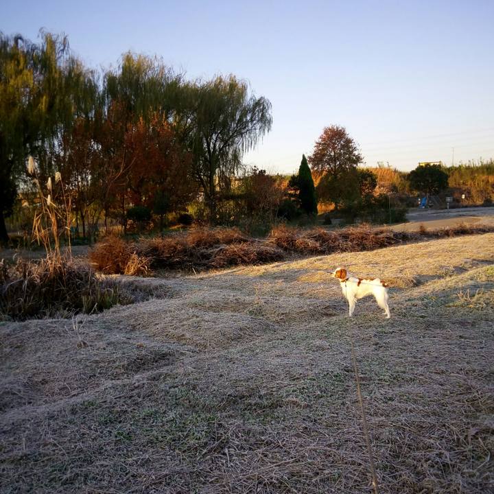 C22f6d92 1027 4200 8b5a 2c5d9104f870 1512606575390