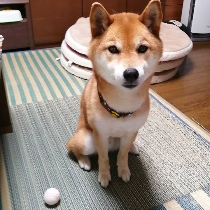 C22f9aed 53aa 45b9 8a84 b8e8c8754755 1589954895903