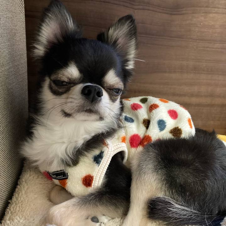 C22fa8df d267 4791 8629 df69adba36c6 1671377397311