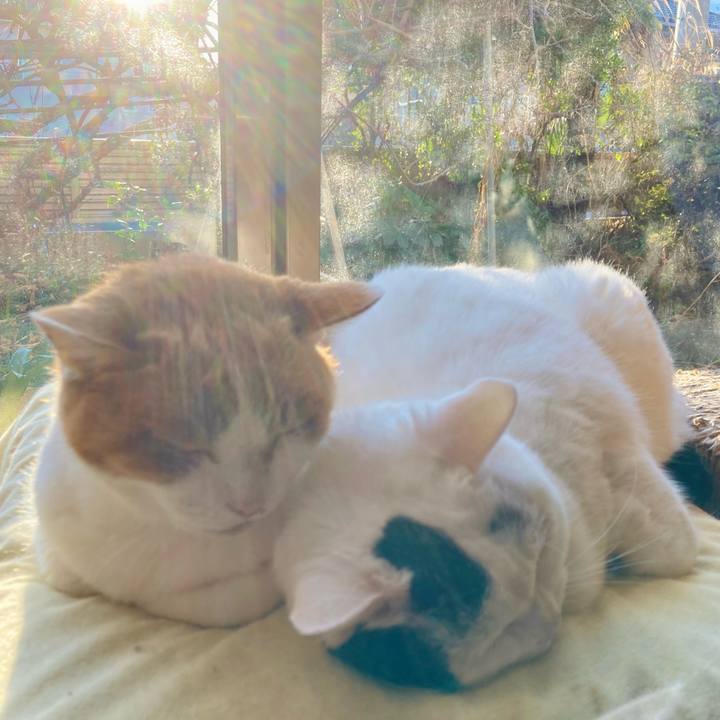 C22fb4b0 5988 4e8e ab1d 1ff834ed7217 1735804847620