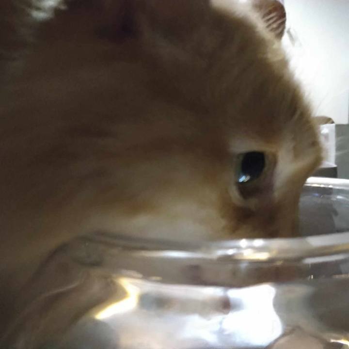 C22fdc7f 6418 4d48 8505 3c9771923d97 1691619623324