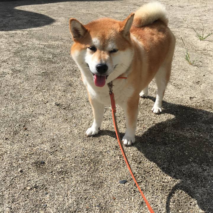 C22fde1c f0d5 459c 9658 635e66f71fd7 1600130438848