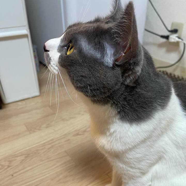 C22fe1ba f441 4e7f 8404 8d5ee6e408f0 1625040479900