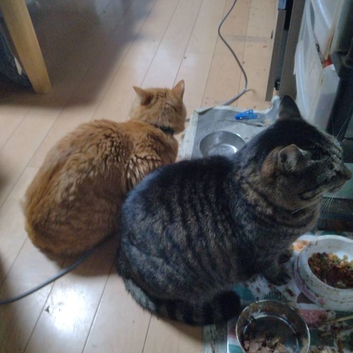 C22fee91 14bc 488b 821a 63063299e24a 1677402435990