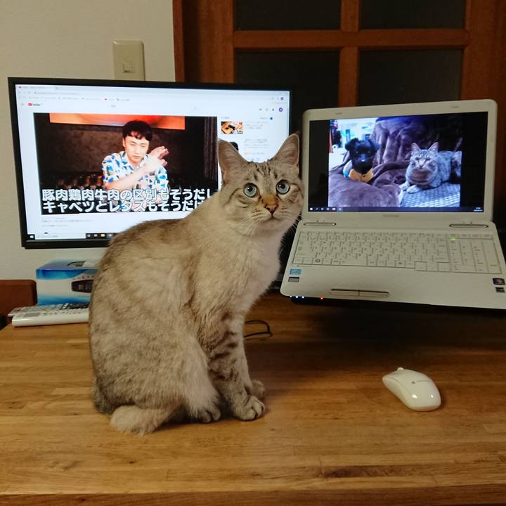 C230016f 9d36 4370 84f1 32d7e9f37b15 1596199477578