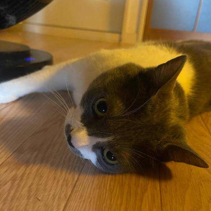 C2301453 13bf 4d2f 8032 b01bb06b0b60 1752280672076