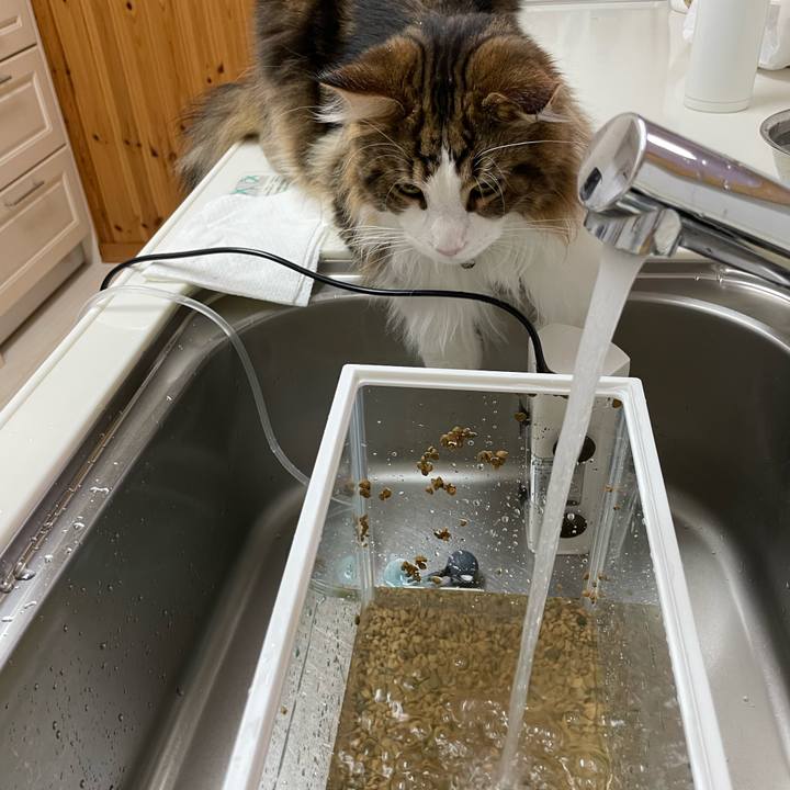 C2301cee 9b57 44a5 b115 e53163528591 1645920272047