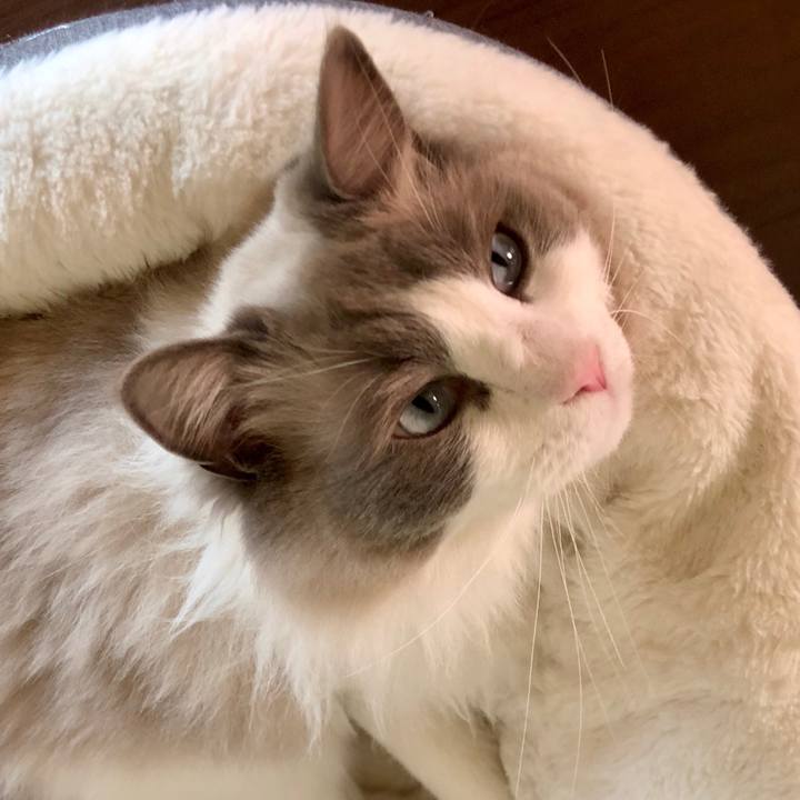 C2302d59 73d8 45e3 884b 887a38cfd319 1615007389953