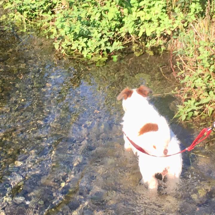 C2305c30 88fd 4392 9b2e 09ca2a9517b9 1565398668790