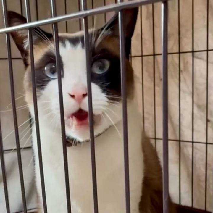 C2307876 7335 49db a887 b133a94b1aeb 1751160571564