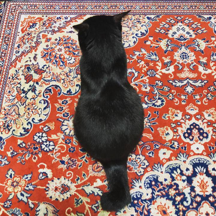 C230b6da 6467 44ff b368 b4ff27be488a 1540383783927