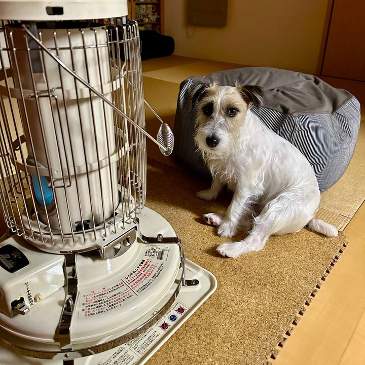 C2312c8e 6f61 4841 8a6d 4bde62fcb794 1707744021270