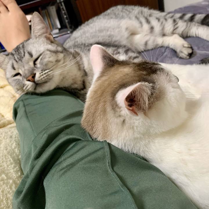 C231340a c90d 42d0 8c24 0780b2283503 1633382188446