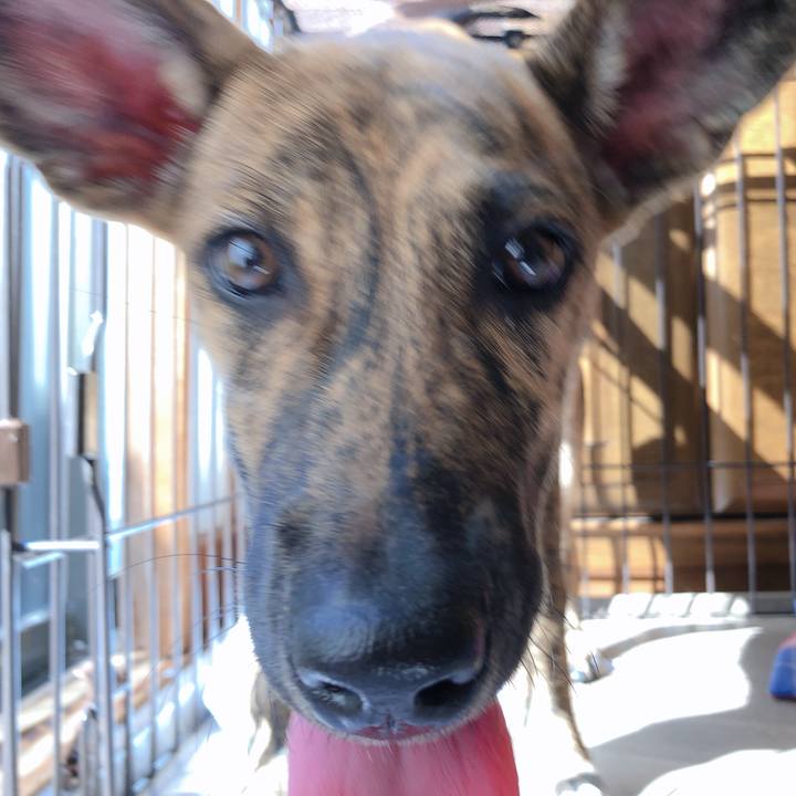 C2314eb6 c679 4f89 8623 7038d3584403 1573185799864