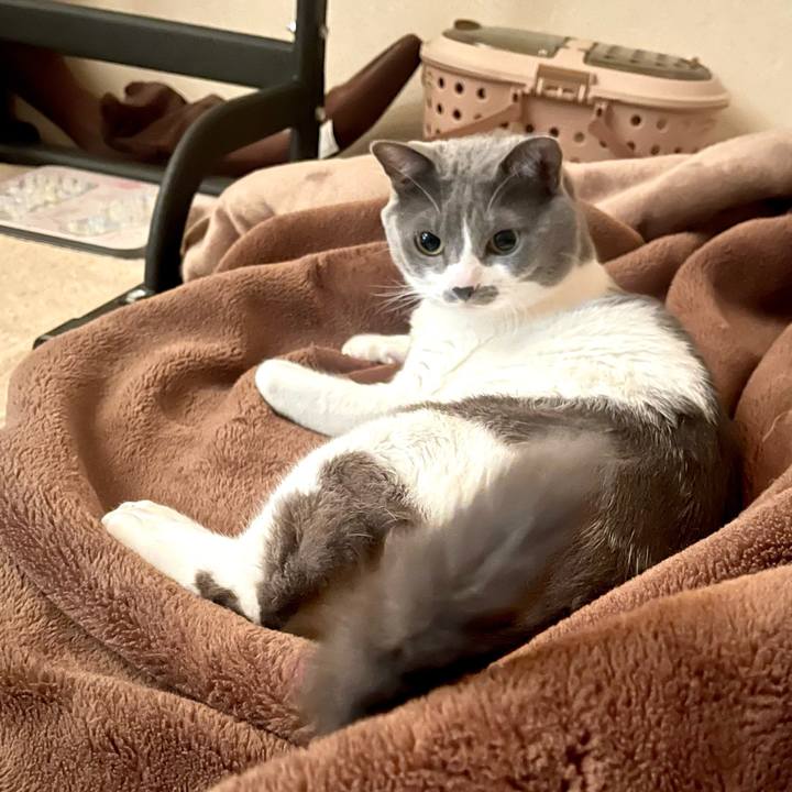 C23153e3 5567 4165 a5e7 6d0f750a3fb8 1668729055324