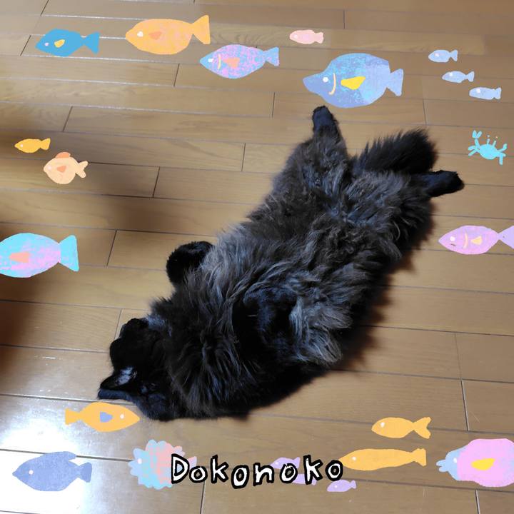 C231640f 8029 4549 b199 2fe3f2e52b21 1755092441609