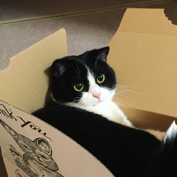 C2317e1a 8e93 4e25 9cd1 afc9520800d9 1639567856383