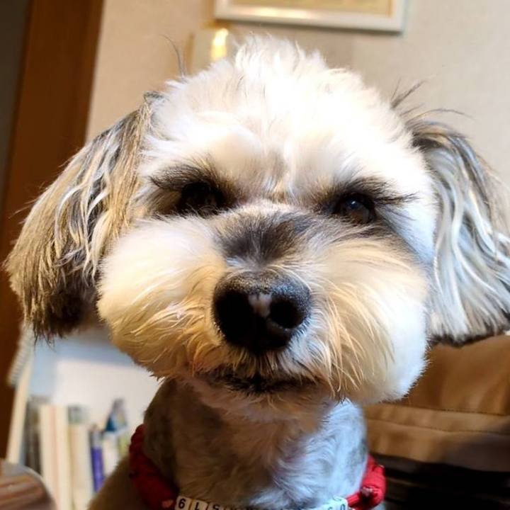 C2318601 44dc 4650 bcc7 1ba3514b8b57 1762863621983