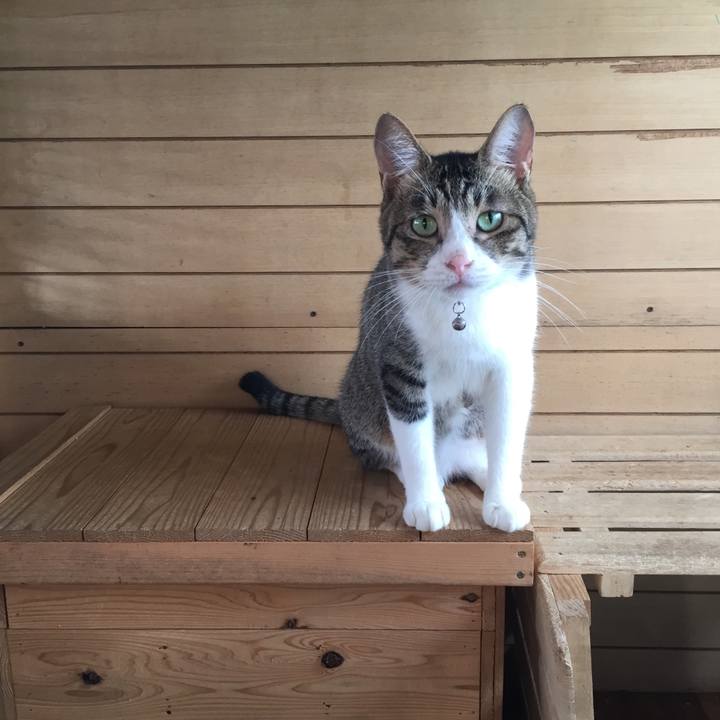 C231d5ae 65e1 4c1d ad29 9113c9581ee1 1533342357607