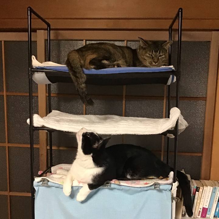 C2320d2b cef6 4fd4 bb1d 1f4e2cbf833c 1694089719311