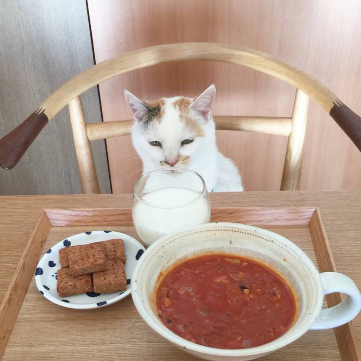 C2321778 dfb4 44e9 91eb 9068784db33c 1516020316371