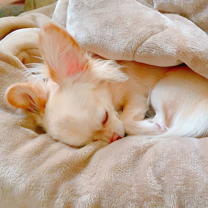 C232688c 8a2b 4331 9d91 da6aa85ed2ec 1626121914119