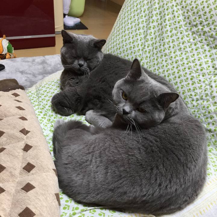 C2329610 98bd 4ff1 9b89 ccfb860843b8 1773479430298