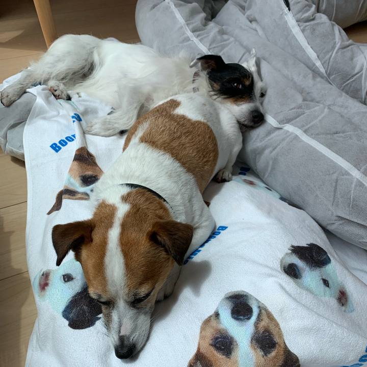 C232a24b f6ab 46b2 b1aa 471548a32680 1621308434764