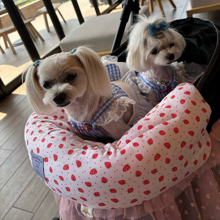 C232a767 df7a 4d87 8e8c eba188da7f12 1758687439230