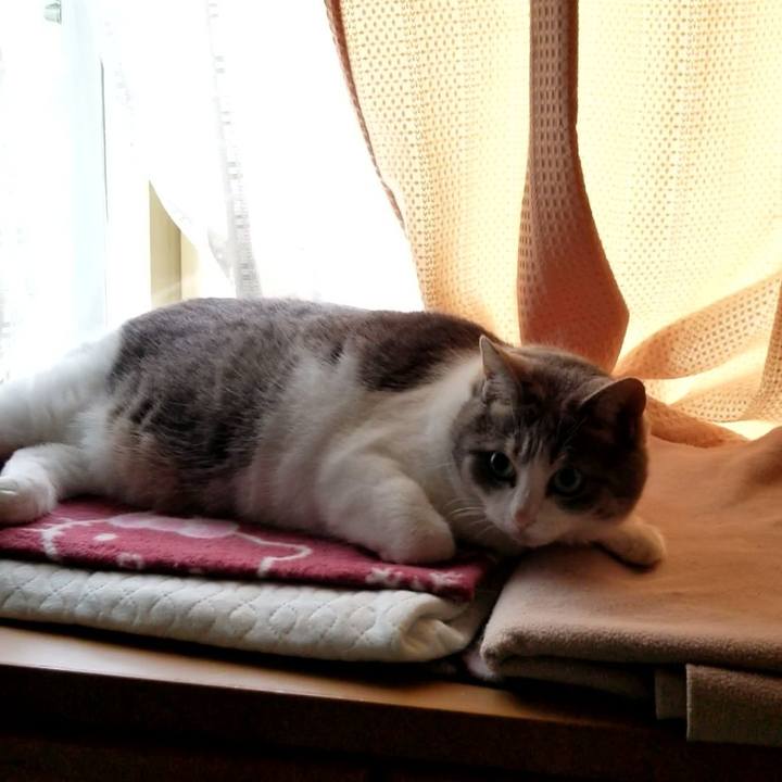 C232b7c1 7f0d 4ba4 b5cf a129fde99ad0 1663524061137