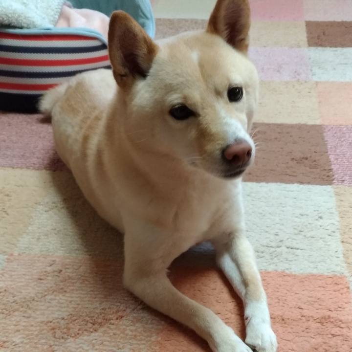 C2334ed0 dec4 4216 8ded 45547a88e4db 1577492172109