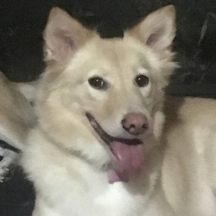 C233500d aa36 4dce ace2 ee8b1e94fc61 1540080084769