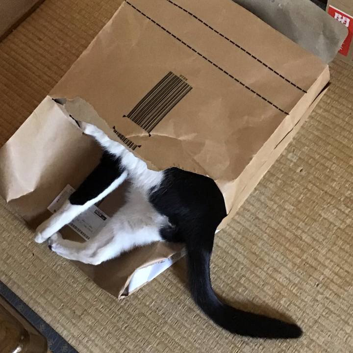 C2337a90 6f2f 4d2a bc06 04e72586e7fd 1653370453564