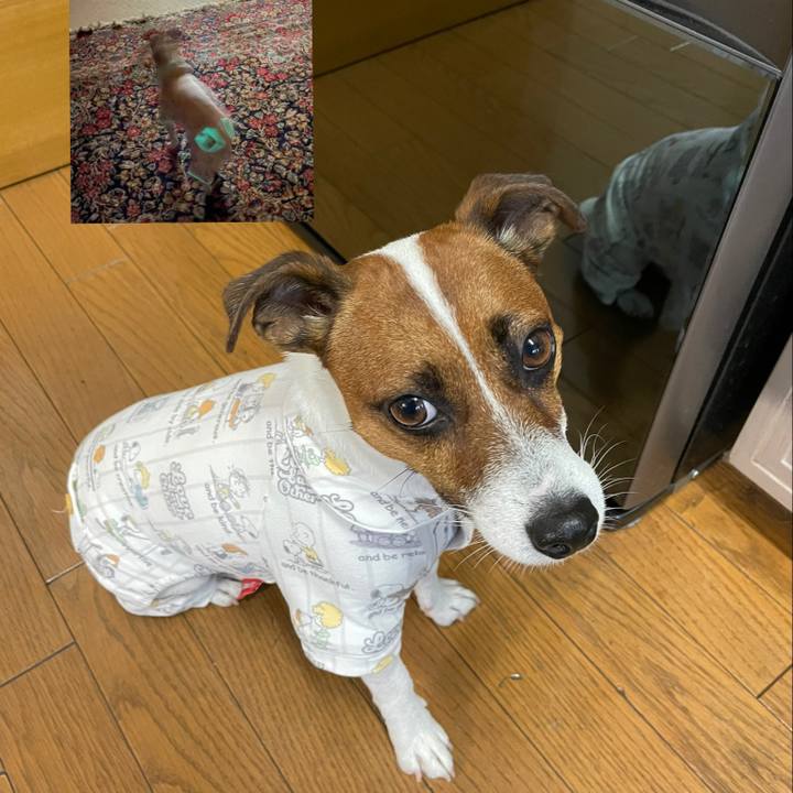 C2338eb2 f41f 4881 b163 aeb04b599cc6 1634551569286