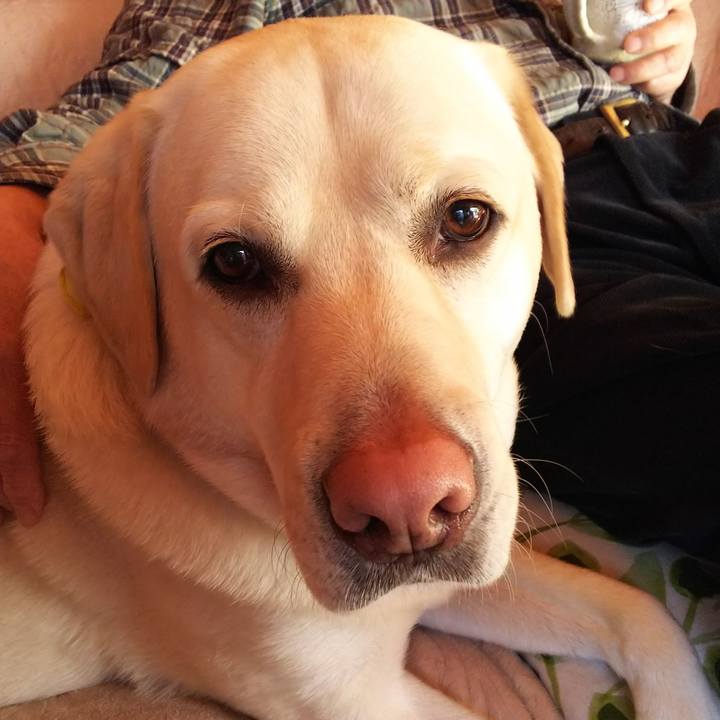 C2338ee4 e573 4218 8321 3c40b8821329 1581208098930