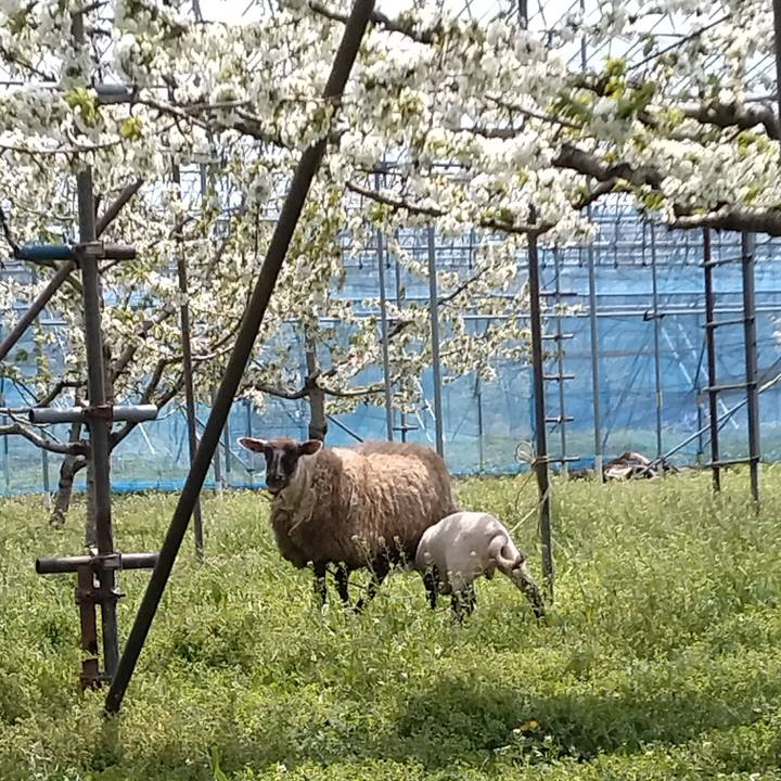 C233b9f0 7e23 4f27 8e60 d7ed987f1afd 1682136388122