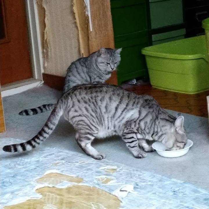 C233be71 5e52 4e09 bd80 5048d2e523a9 1636544222142