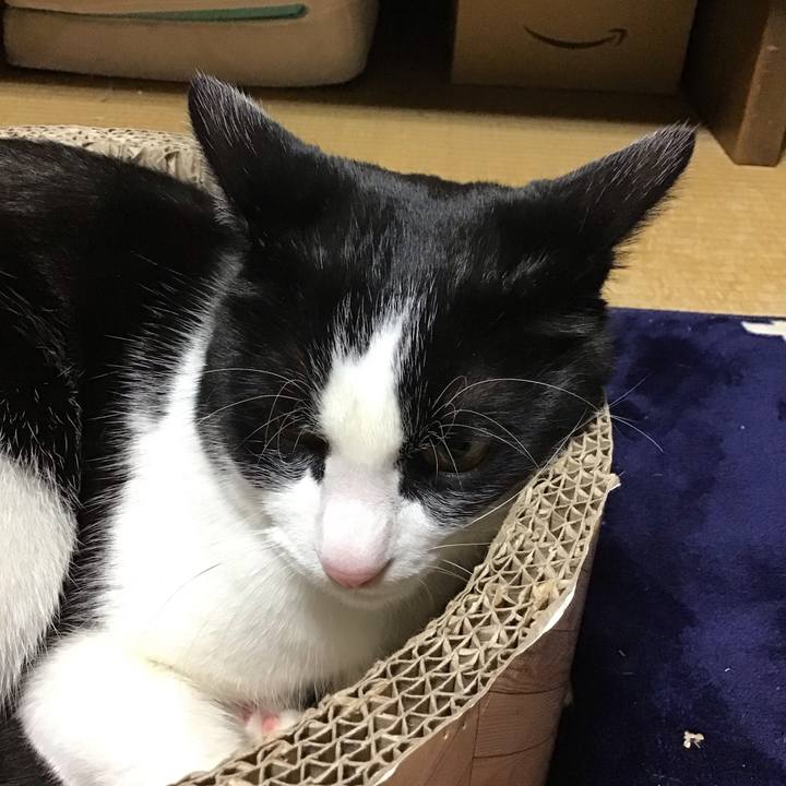 C233ff99 cad3 43d8 b1a0 76029b6c74e2 1704879953489