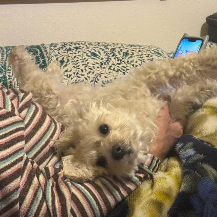 C2340aed bb85 4634 a20b 890e3b118f50 1768776779939