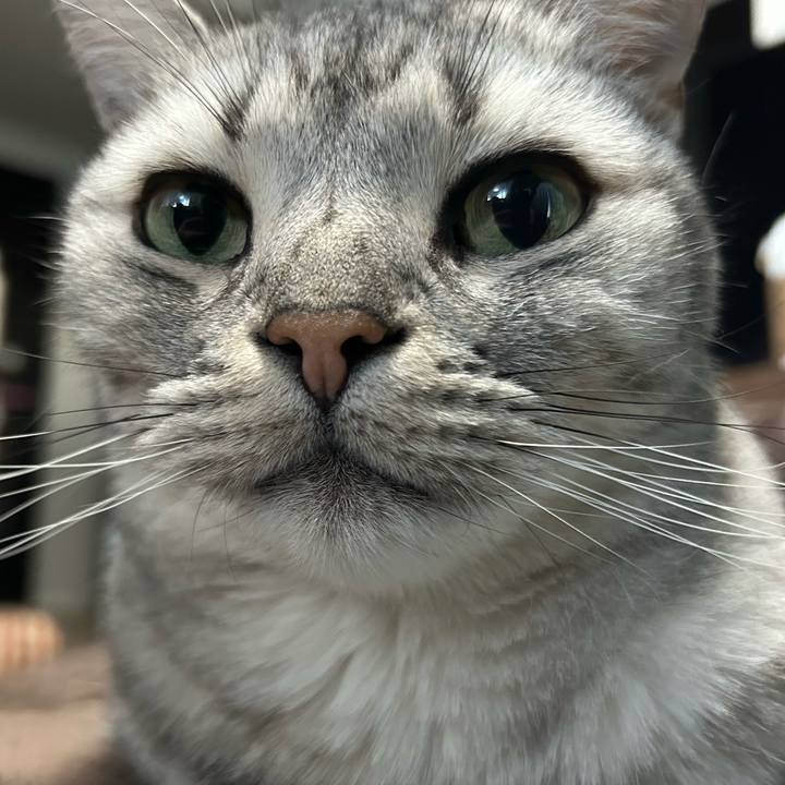 C2340e68 5d5b 47f5 9b61 7ba0dd015321 1768394344546