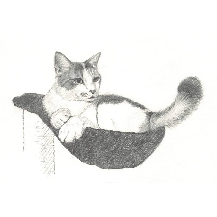 C2343e6b c070 4529 b47c 5155307b8196 1541942902782