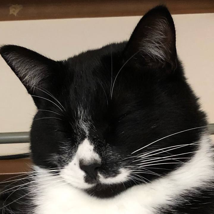 C23452d0 c981 4631 87c3 d3e8ea008656 1605325769347