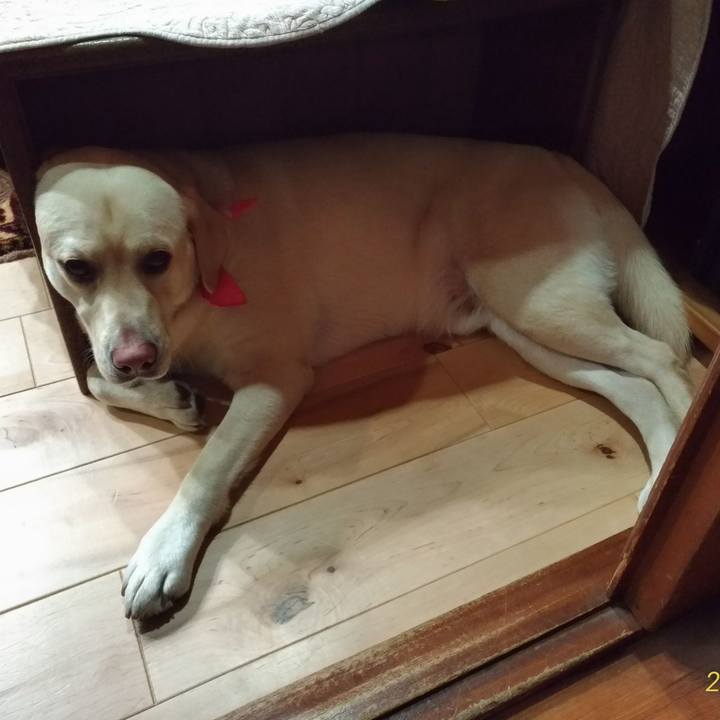 C2345d99 860f 435b 89ea 3fa0953fb322 1551007485880