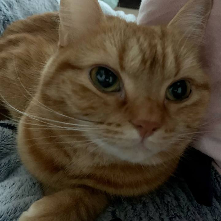 C2347c48 4b42 4f6b b13c 9a2e7b5d3df0 1612056632572