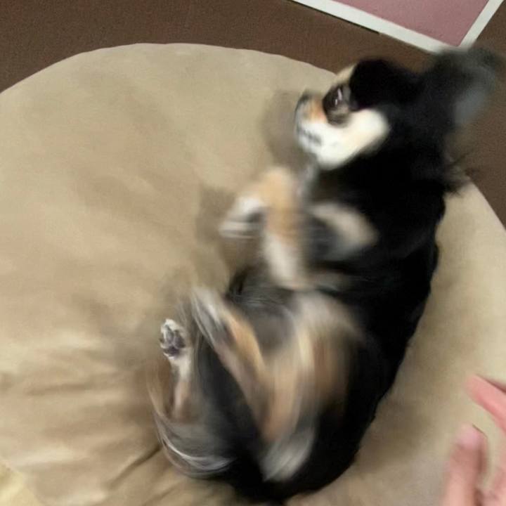 C234934b ae11 4f0d aeb7 9899137fed10 1648077876913