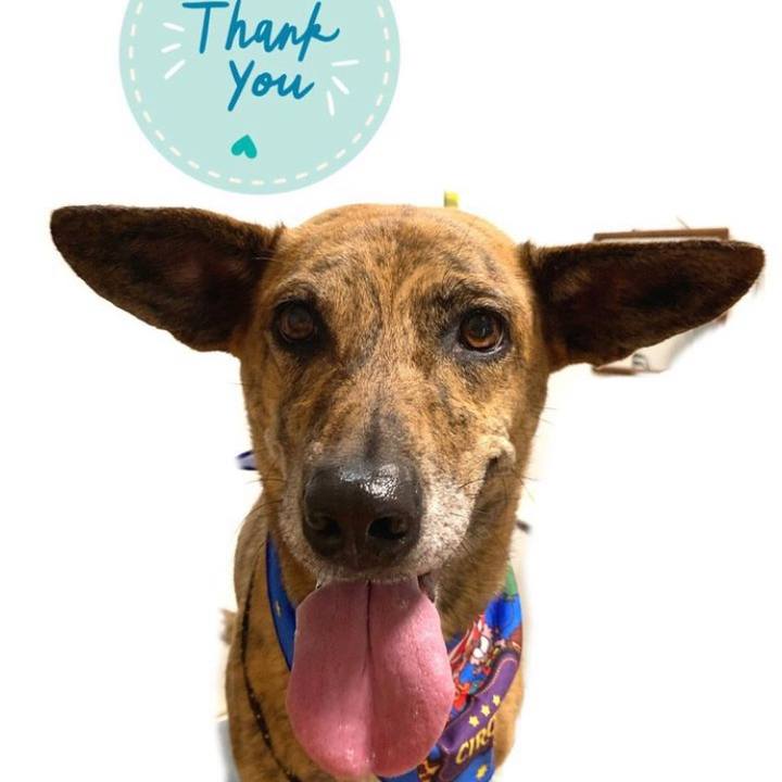 C2349869 da47 4f17 aee2 7e9166566522 1684749902816