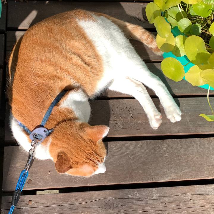 C234f82c 5233 4cdf 811a 5511adb8832e 1577595455522