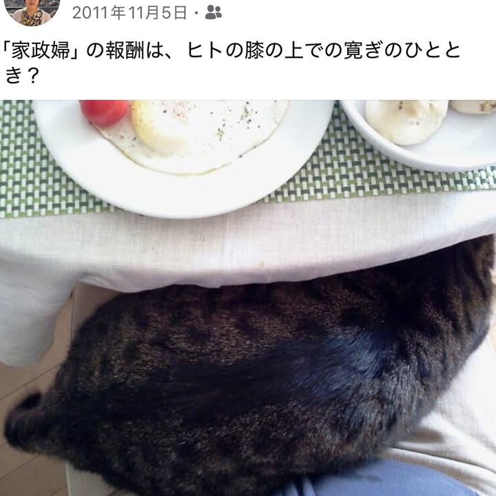 C23510e5 6d9c 41df 979f c6d890e8f584 1762310689785