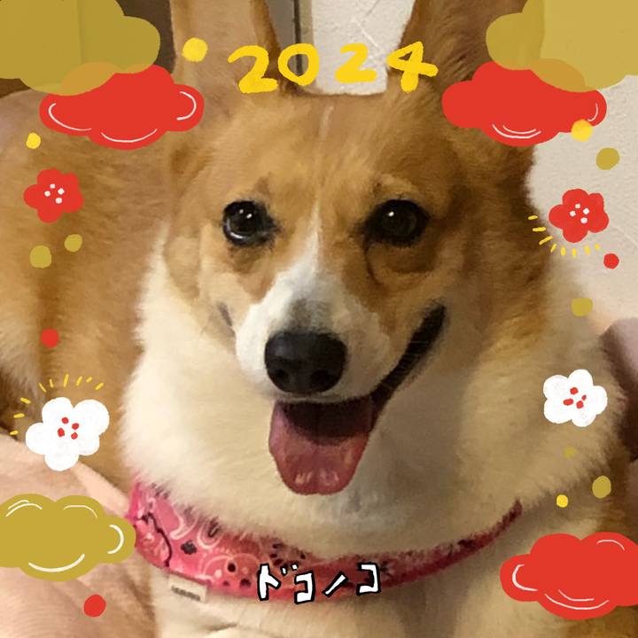 C2352fe7 22cb 4e44 b955 79e013977ae8 1704274932866