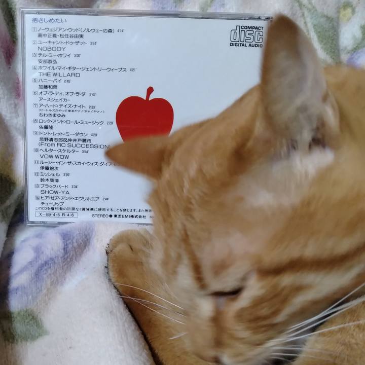 C2354c35 3d44 4774 a0f6 3a2179e255bc 1667738603359